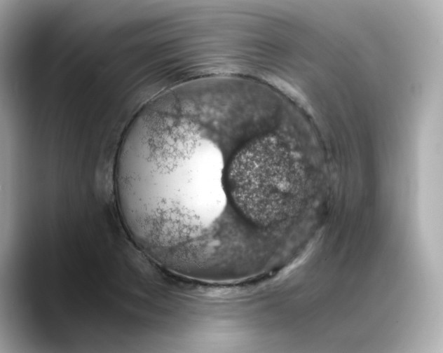 X0000088440889200706051246