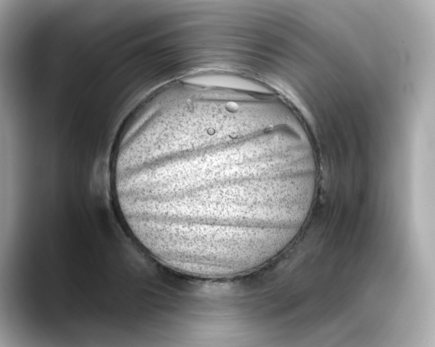 X0000088440890200706051246
