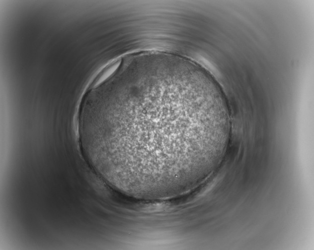 X0000088440891200706051246
