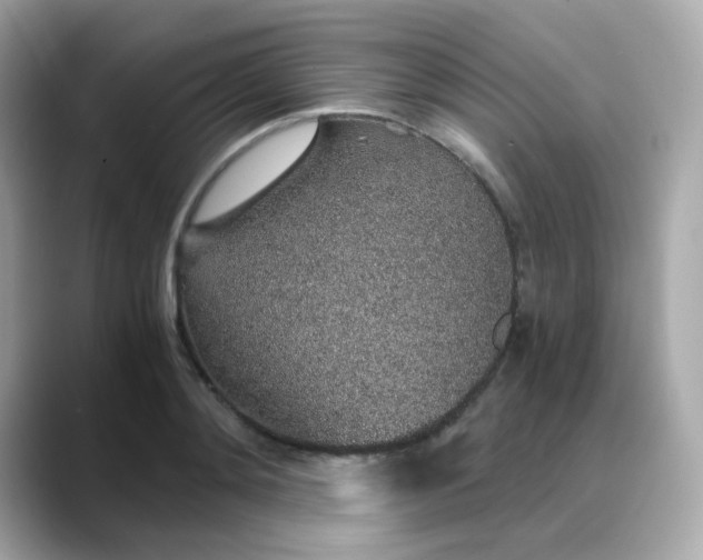 X0000088440892200706051246