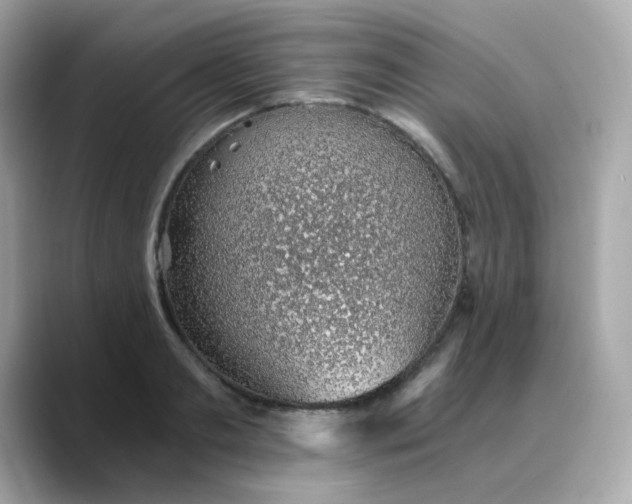 X0000088440893200706051246