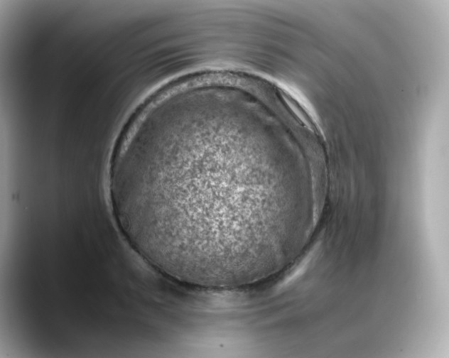 X0000088440895200706051246