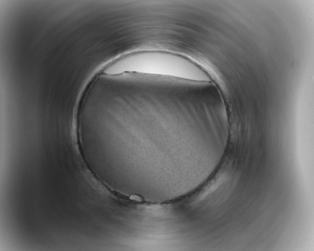 X0000088440896200706051246