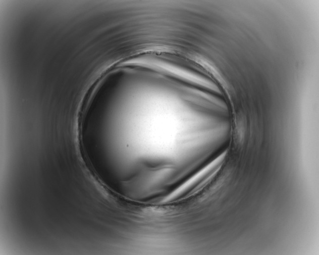 X0000088440898200706051246