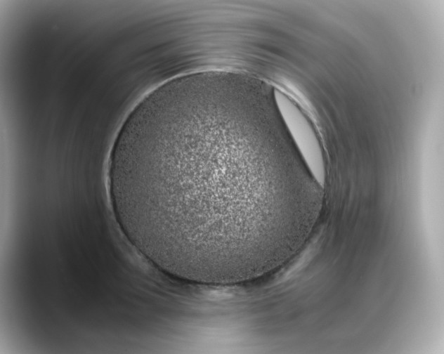 X0000088440899200706051246
