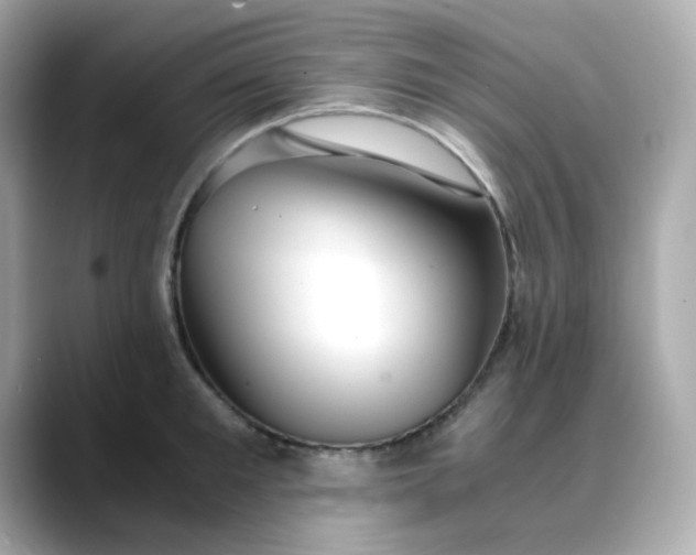 X0000088440901200706051246