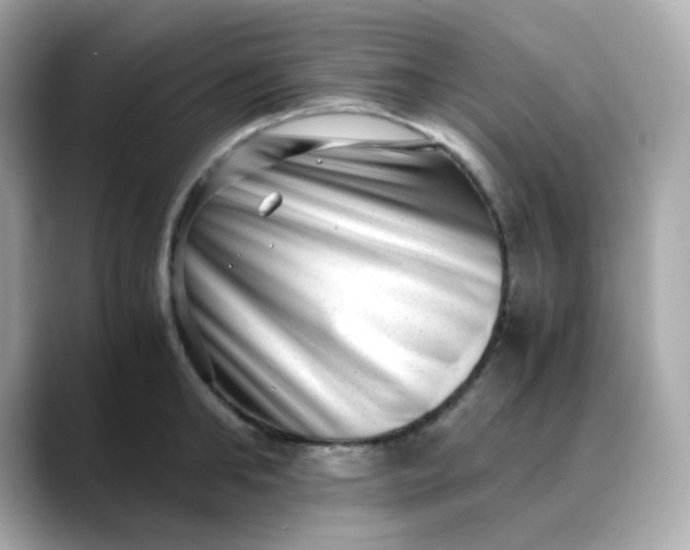X0000088440902200706051246