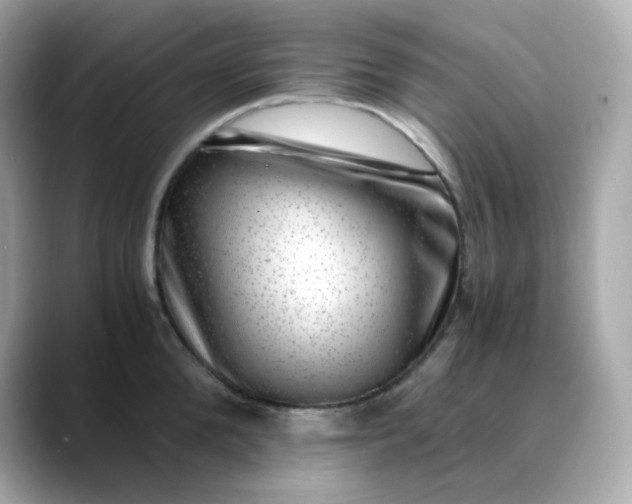 X0000088440904200706051246