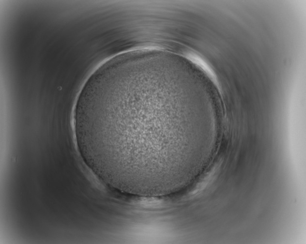X0000088440907200706051246
