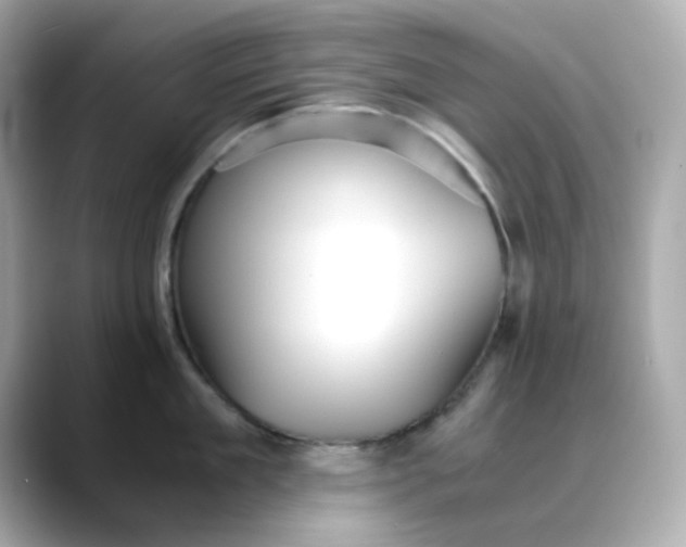 X0000088440909200706051246