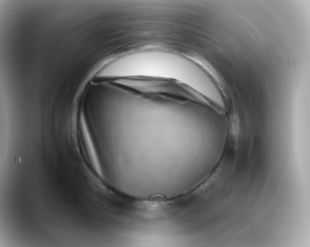 X0000088440910200706051246