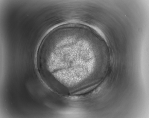X0000088440911200706051246