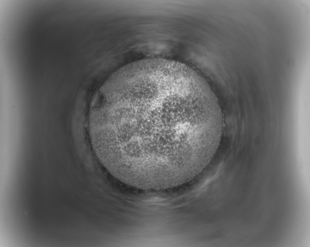 X0000088440913200706051245