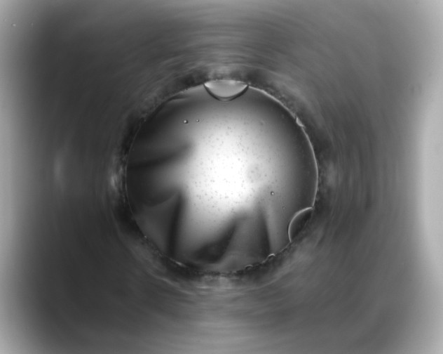 X0000088440914200706051245