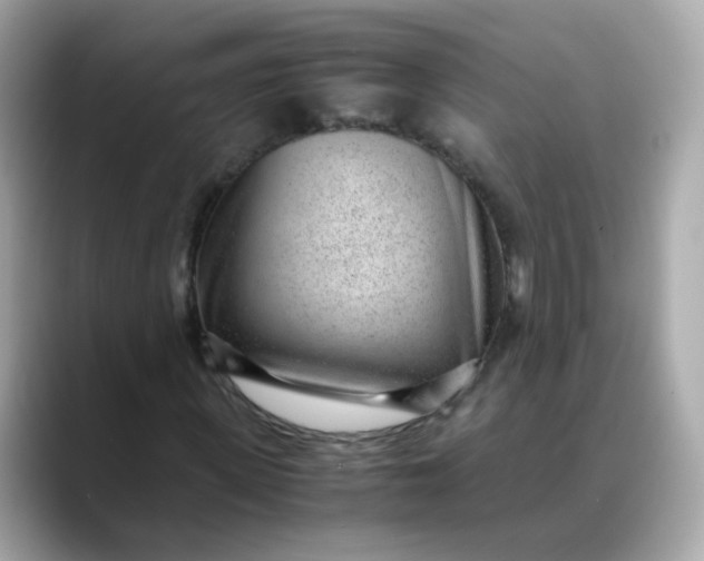 X0000088440915200706051245