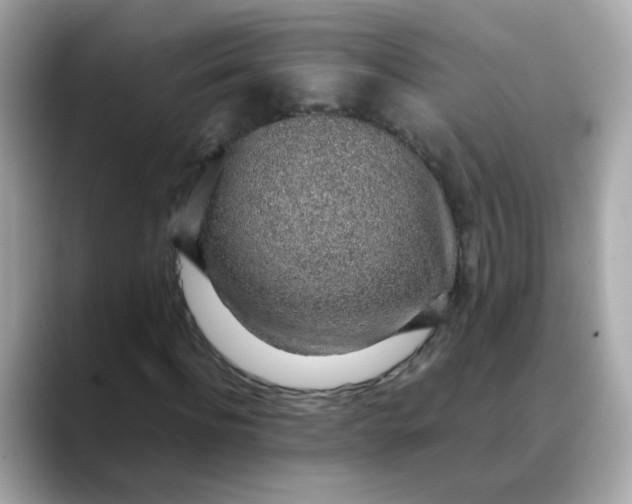 X0000088440916200706051245