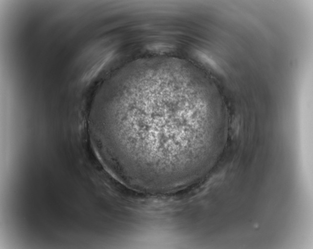 X0000088440917200706051245