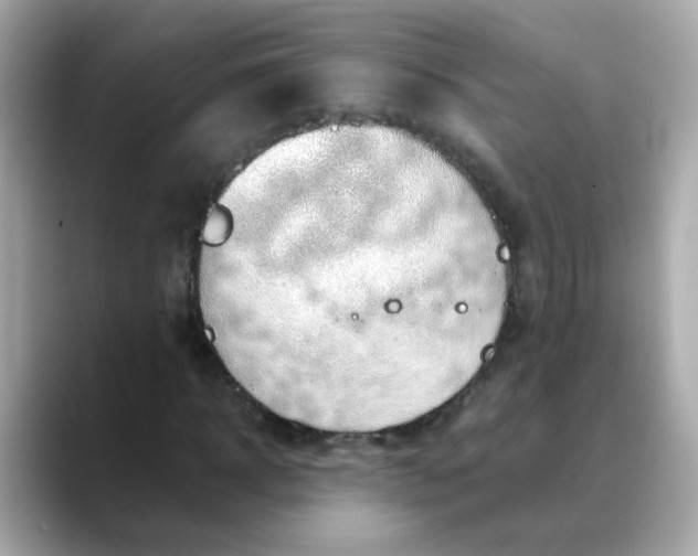 X0000088440918200706051245