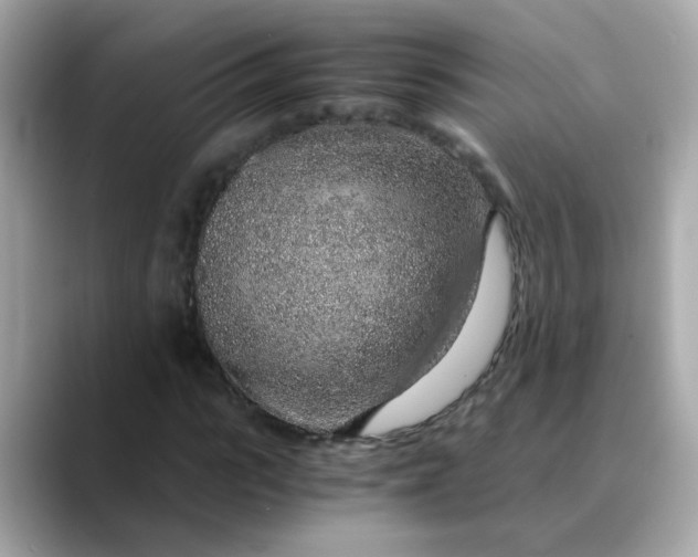 X0000088440919200706051245