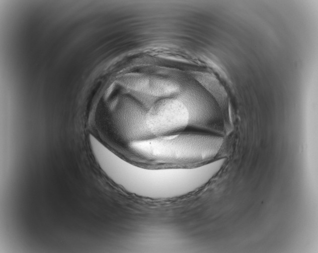 X0000088440920200706051245