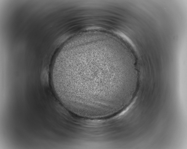 X0000088440921200706051245