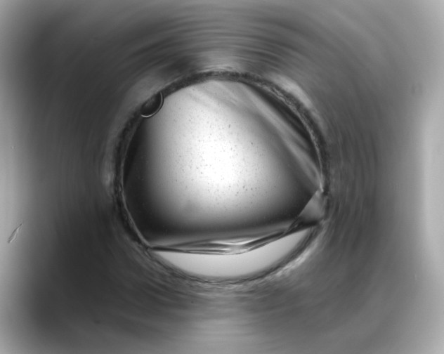 X0000088440922200706051245