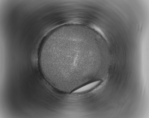 X0000088440923200706051245