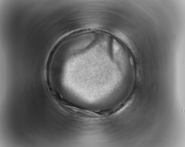 X0000088440924200706051245
