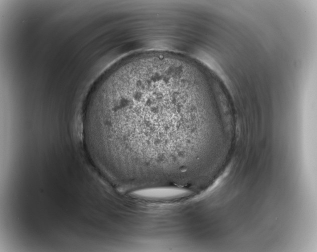 X0000088440925200706051245