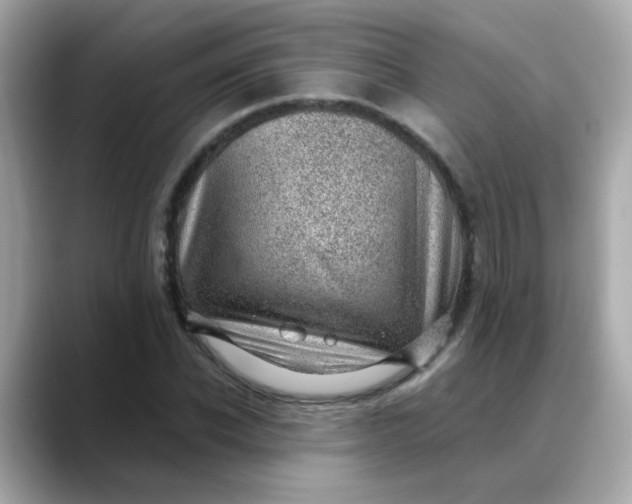 X0000088440926200706051245