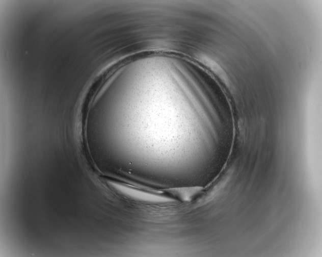 X0000088440931200706051245