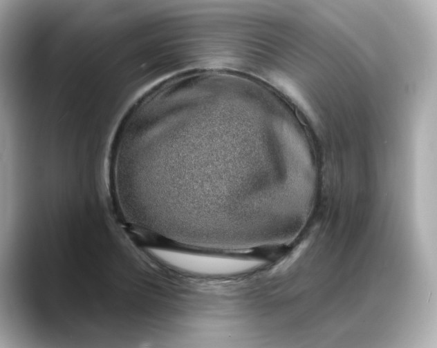 X0000088440932200706051245