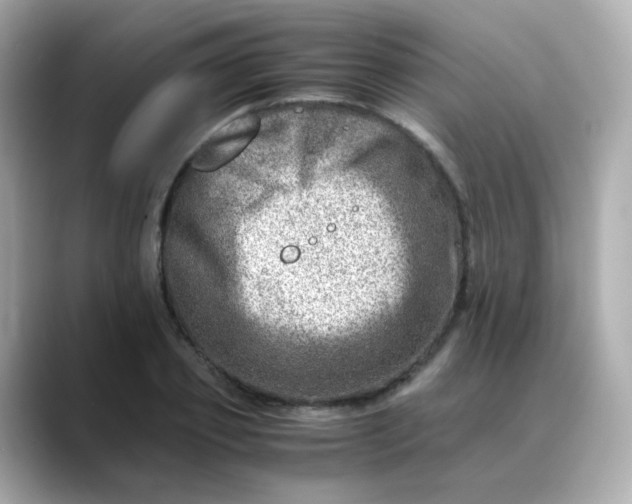 X0000088440933200706051245