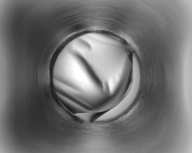 X0000088440934200706051245