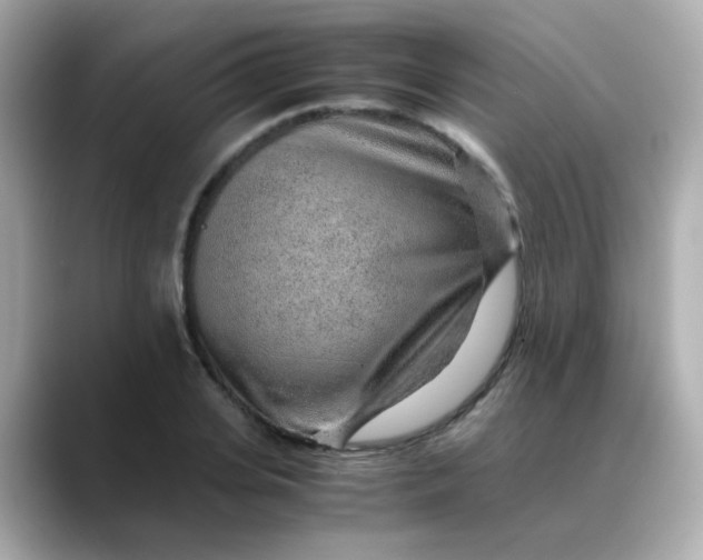 X0000088440935200706051245
