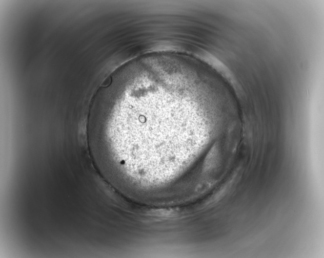 X0000088440937200706051245
