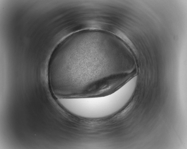 X0000088440939200706051245