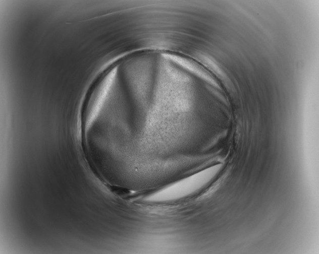 X0000088440940200706051245