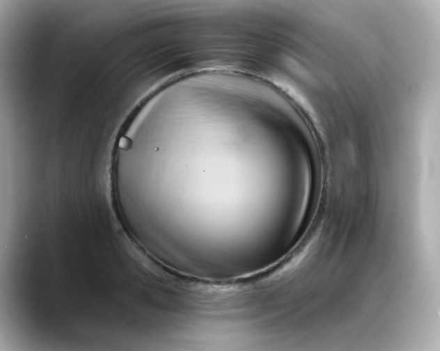 X0000088440941200706051245
