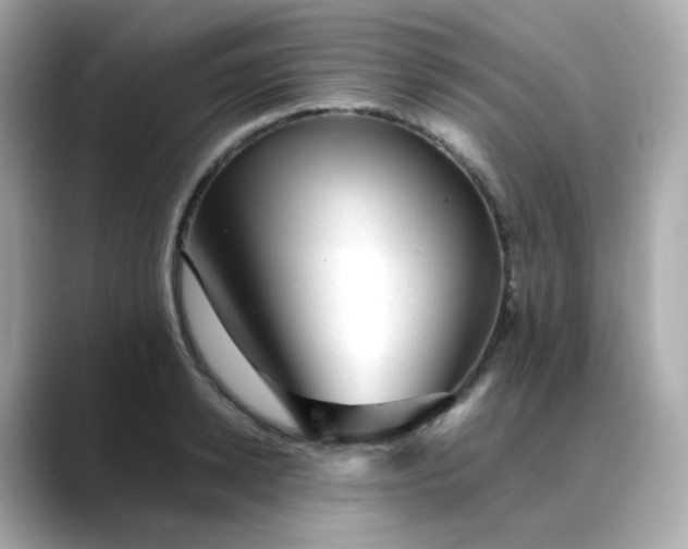 X0000088440942200706051245