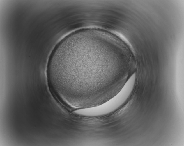 X0000088440943200706051245