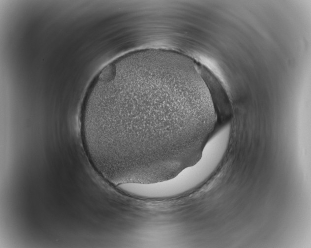 X0000088440944200706051246