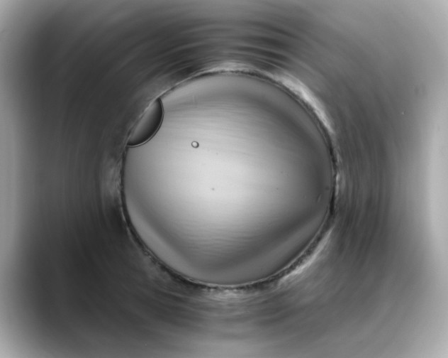 X0000088440945200706051246