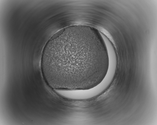 X0000088440946200706051246