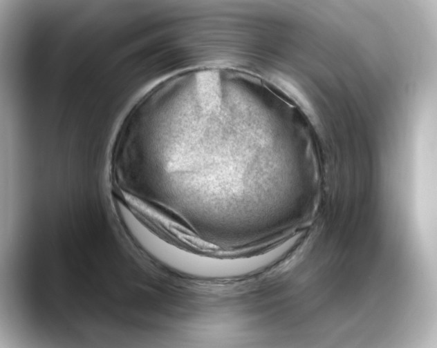 X0000088440948200706051246