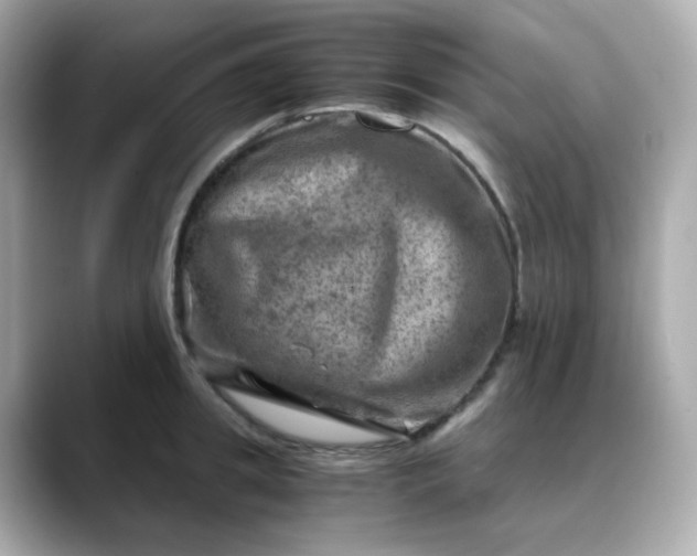 X0000088440949200706051246