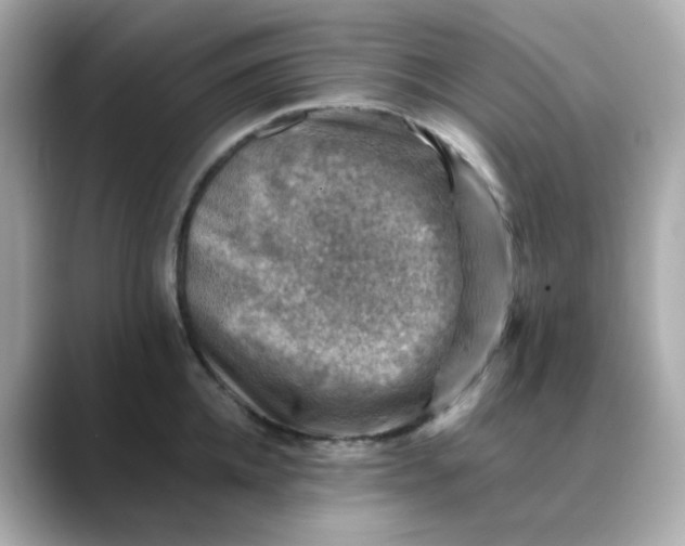 X0000088440952200706051246