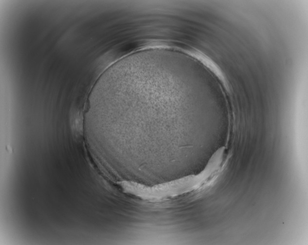 X0000088440953200706051246