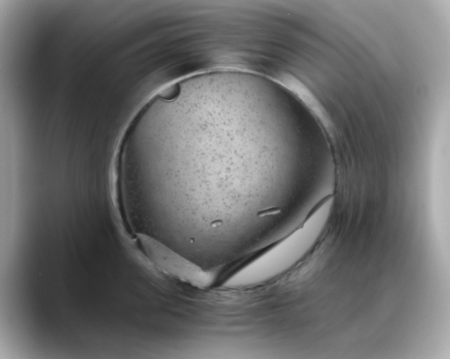 X0000088440955200706051246