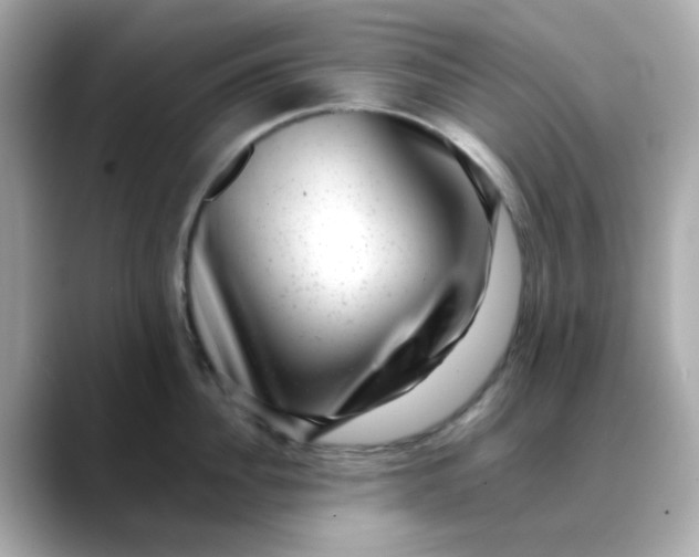 X0000088440956200706051246
